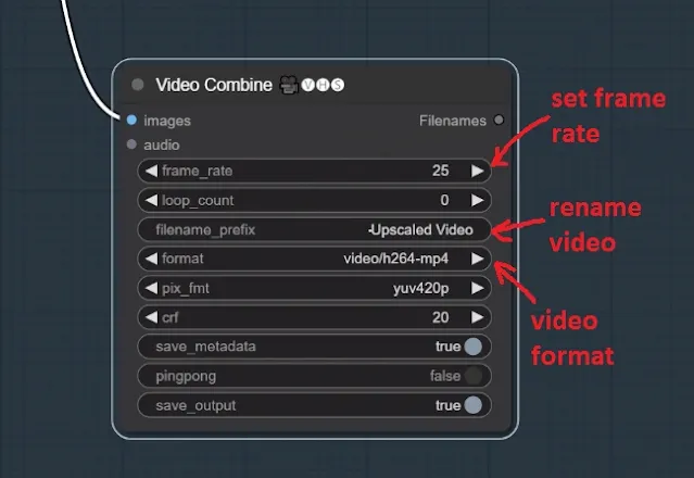 configure video output settings