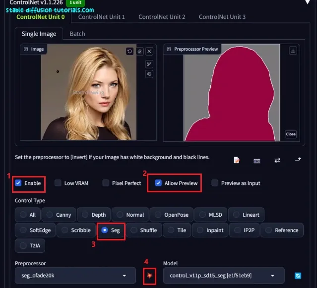 controlnet seg option