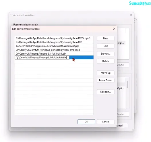 setting environment variables