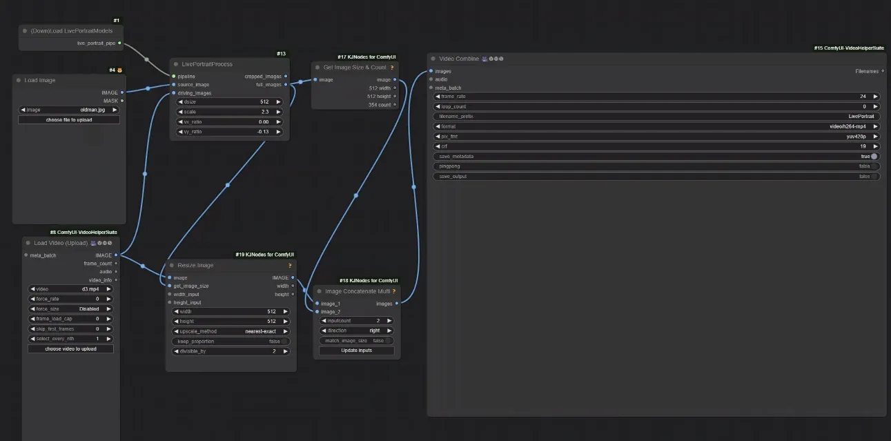 upload the live portrait workflow